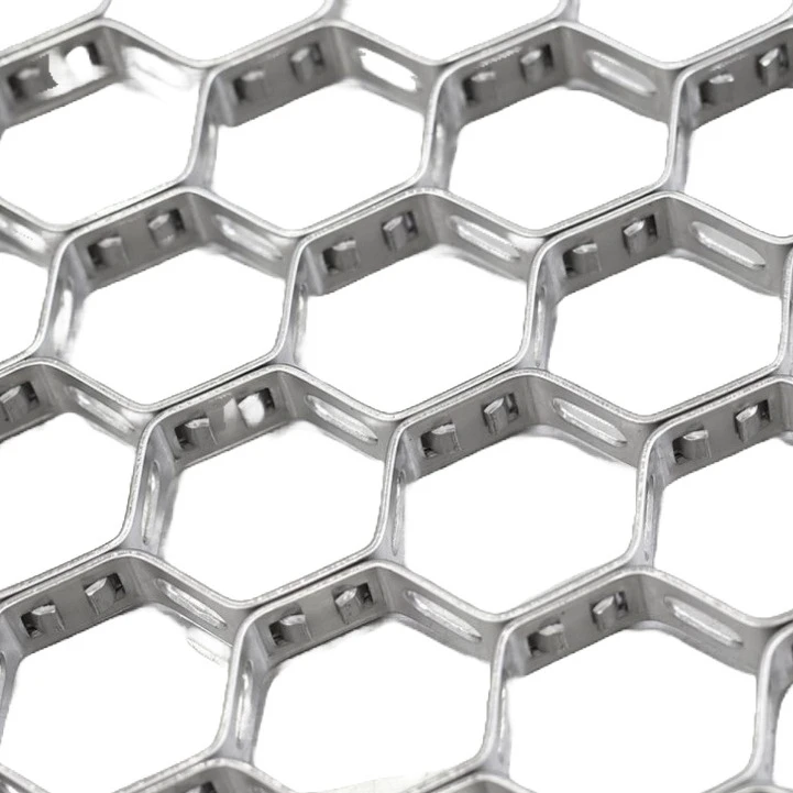 רשת Hex עקשן